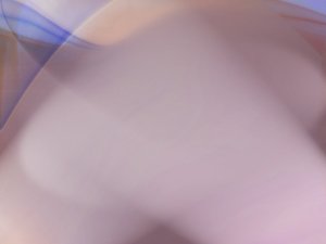 办公自动化